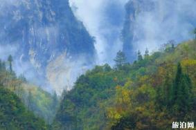 鹿院坪景区门票多少钱 优惠政策