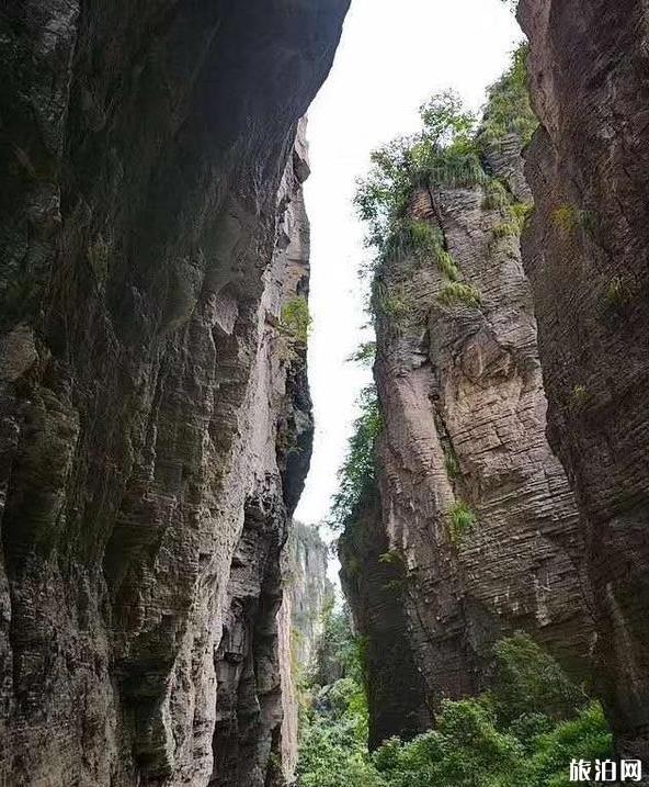 黃鶴橋峰林景區(qū)游記體驗(yàn)