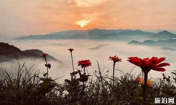 石潭村游玩攻略 黃山石潭村旅游指南