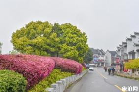 邵伯古镇旅游攻略2020