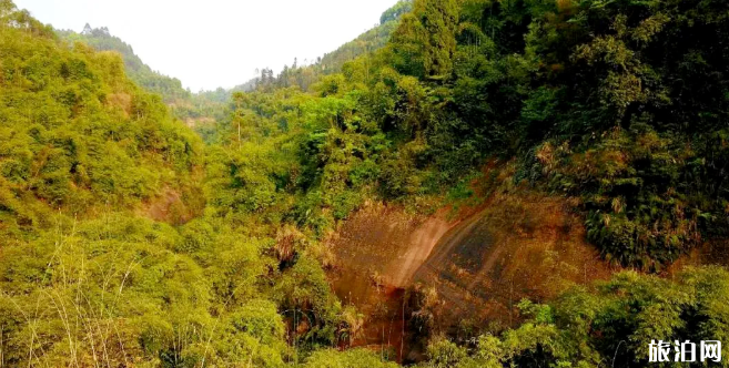 眉山青神龙凼峡门票交通及景区介绍