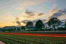 內蒙古曼陀山莊門票-門票價格-景點信息