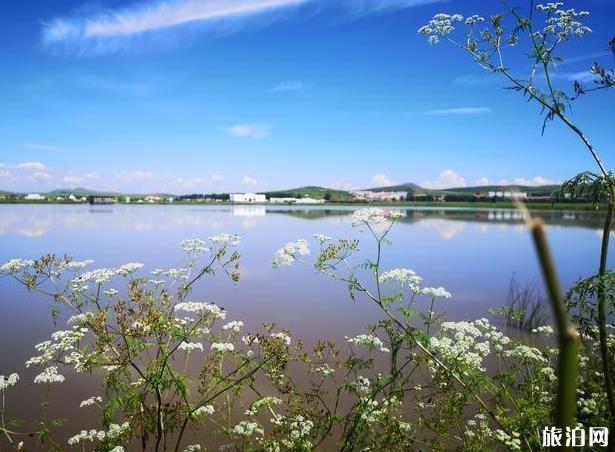 海留图国家湿地公园好玩吗 海留图国家湿地公园怎么样