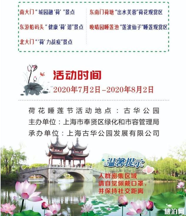 上海荷花节2020年八月有哪些和活动攻略