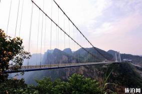 贞丰北盘江大峡谷景区介绍