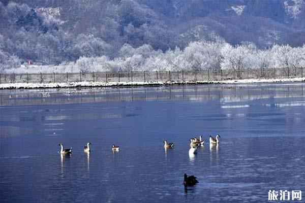 2020湖北A级景区对全国游客免门票预约入口