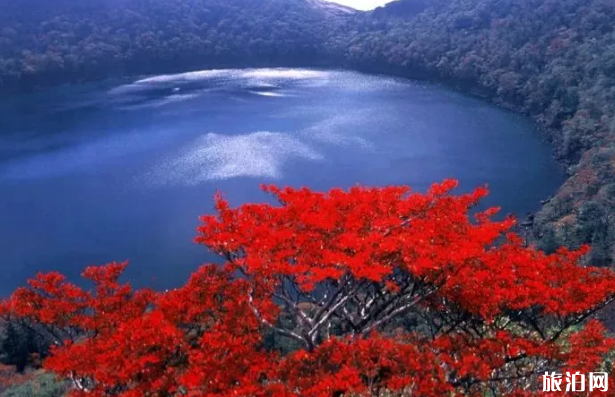 日本秋天赏枫去哪-最佳观赏时间及地点