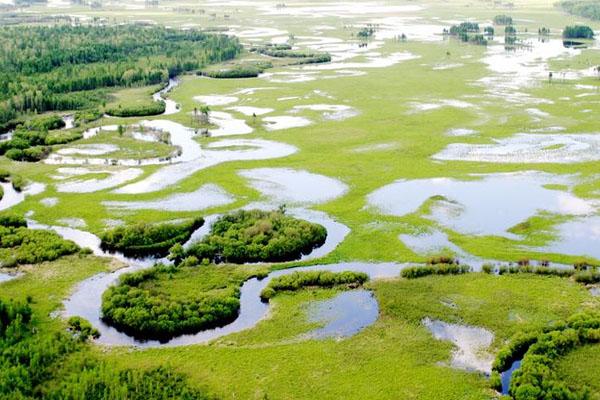 2022黑龙江南瓮河国家级自然保护区旅游攻略 - 门票 - 交通 - 天气