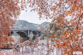 洛阳旅游年票外地户口怎么续费 外地户口洛阳旅游年票办理点