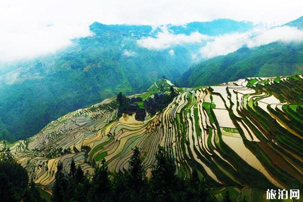 电影我和我的家乡取景拍摄地哪里 平塘特大桥世界第一高大桥介绍