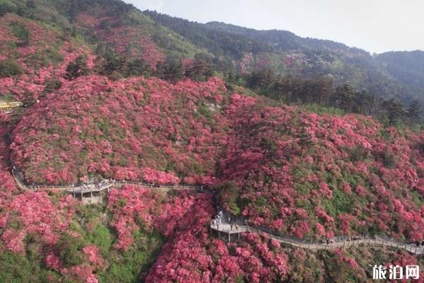 木蘭云霧山自駕一日游攻略 木蘭云霧山游玩攻略