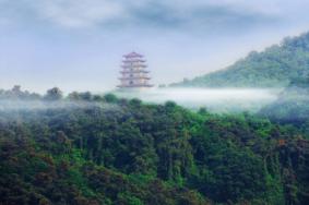2024南京老山国家森林公园游玩攻略-门票价格-景点信息