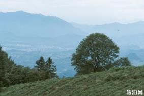 蒙顶山旅游景点攻略