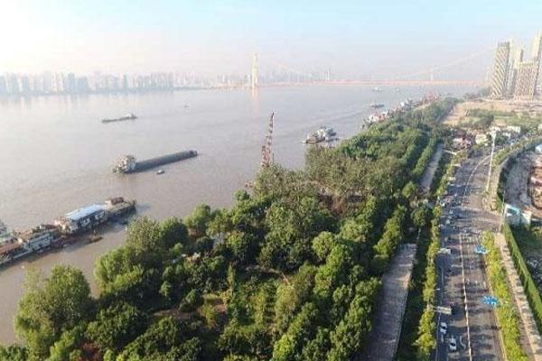 8月18日武汉汉阳江滩恢复开放