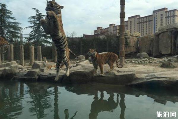 上海动物园游玩攻略 景点介绍和交通推荐