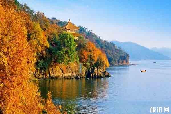 秋天上海周边自驾游推荐 秋天上海周边好去处