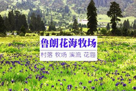 2024西藏鲁朗花海牧场游玩攻略 - 门票 - 交通 - 开放时间 - 景点介绍 - 地址 - 天气 - 电话