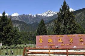 2024西藏鲁朗风景区游玩攻略-门票价格-景点信息