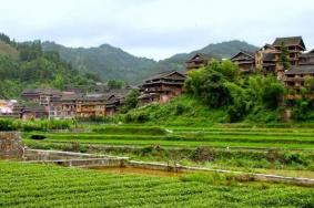 程阳八寨游玩攻略 程阳八寨景区门票价格多少钱