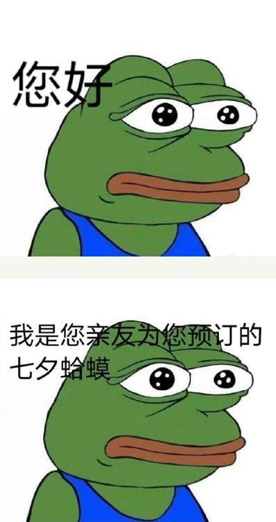 七夕孤寡青蛙是什么梗-怎么租