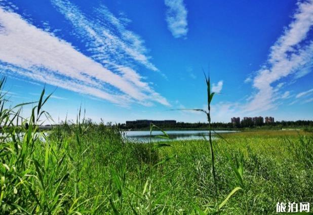 宛平湖公園游玩攻略指南