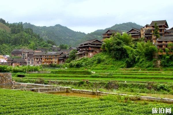 程阳八寨玩耍攻略 程阳八寨景区门票代价多少钱