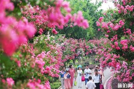 2022襄阳紫薇林游玩攻略 -门票价格 - 交通 - 地址 - 天气