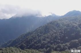 梵净山门票预约不到怎么办 2020梵净山门票可以预约吗