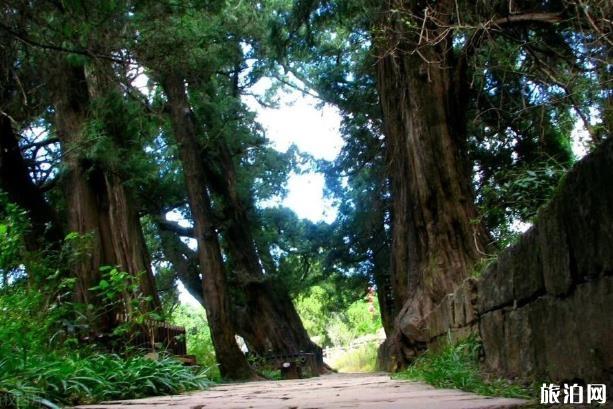 廣元市有哪些名勝古跡 廣元市名勝古跡大全