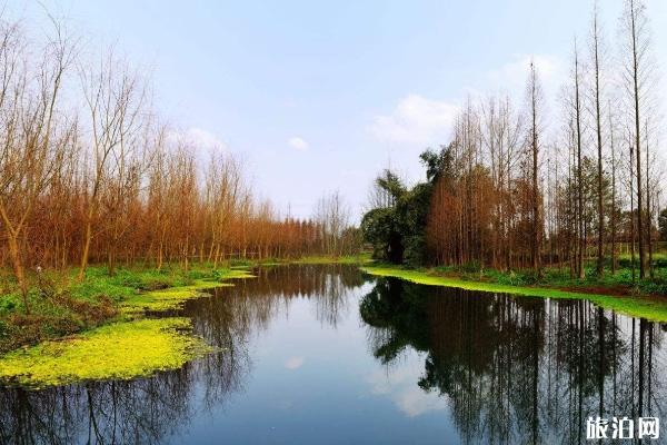 成都桤木河湿地公园在哪里 桤木河湿地公园门票交通指南及景区介绍