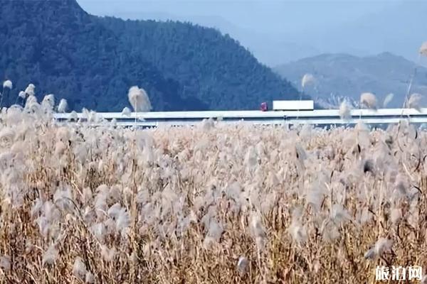 湖北秋天最美的地方推荐 湖北秋天哪里的风景好