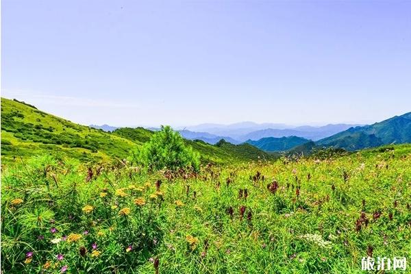 秦楚古道免费2020和旅游攻略