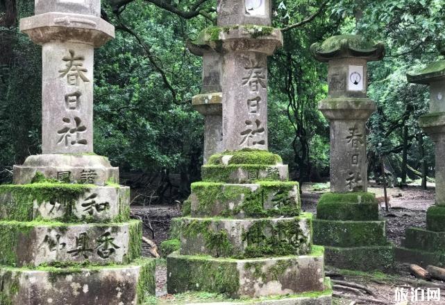 奈良公園游玩攻略 奈良公園有什么好玩的