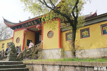 2022寿宁禅寺旅游攻略 - 景点介绍 - 门票 - 交通