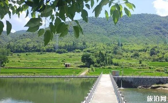 新窑土墙遗址简介 新窑土墙遗址历史介绍