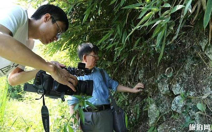 新窯土墻遺址簡介 新窯土墻遺址歷史介紹