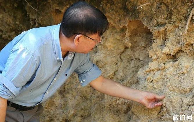 新窯土墻遺址簡介 新窯土墻遺址歷史介紹