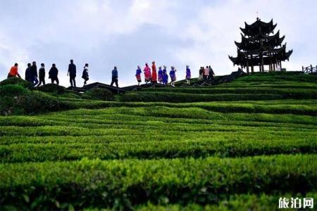 2023伍家台旅游区旅游攻略 - 景点介绍 - 门票价格 - 开放时间 - 地址 - 交通