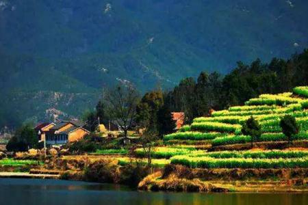 武穴龙门花海景区旅游攻略-门票价格-景点信息