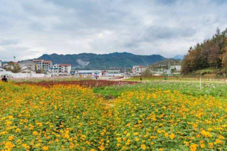 2023湖北童玩谷生态园旅游攻略 - 景点介绍 - 门票价格 - 开放时间 - 地址 - 交通
