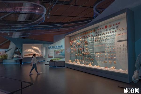 2020国家海洋博物馆教育中心开放时间及预约指南