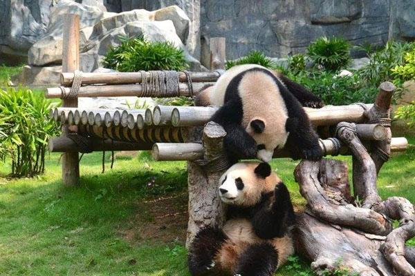 深圳野生动物园9月优惠政策一览 门票多少钱一张