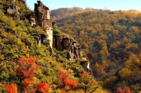 黑龙山国家森林公园可以开车吗 好玩吗