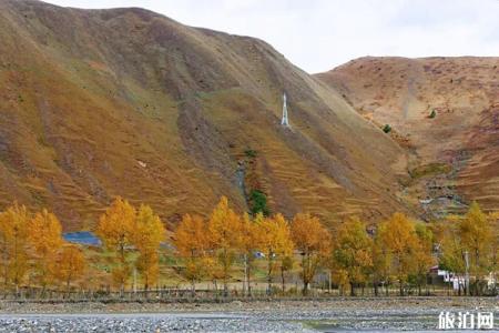 成都周边秋天哪里景色好 成都周边秋天风景好的地方推荐