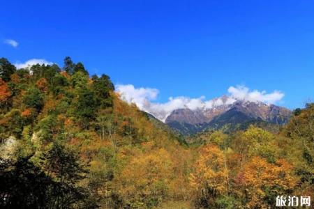 成都周边秋天哪里景色好 成都周边秋天风景好的地方推荐