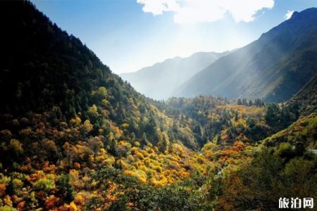 成都周边秋天哪里景色好 成都周边秋天风景好的地方推荐