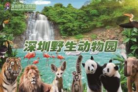 深圳野生动物园9月优惠政策一览 门票多少钱一张
