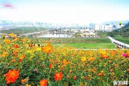 2022湖北军垦五夫园旅游攻略 - 门票价格 - 开放时间
