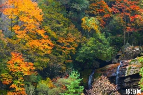 西安周边秋季旅游推荐 西安周边秋景最好地方推荐
