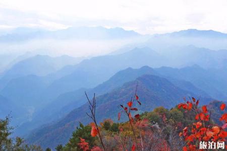 西安周边秋季旅游推荐 西安周边秋景最好地方推荐